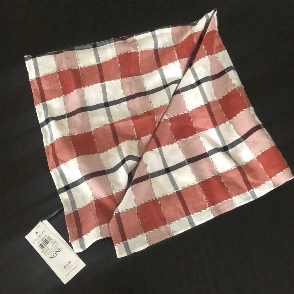 Ann Taylor Scarf